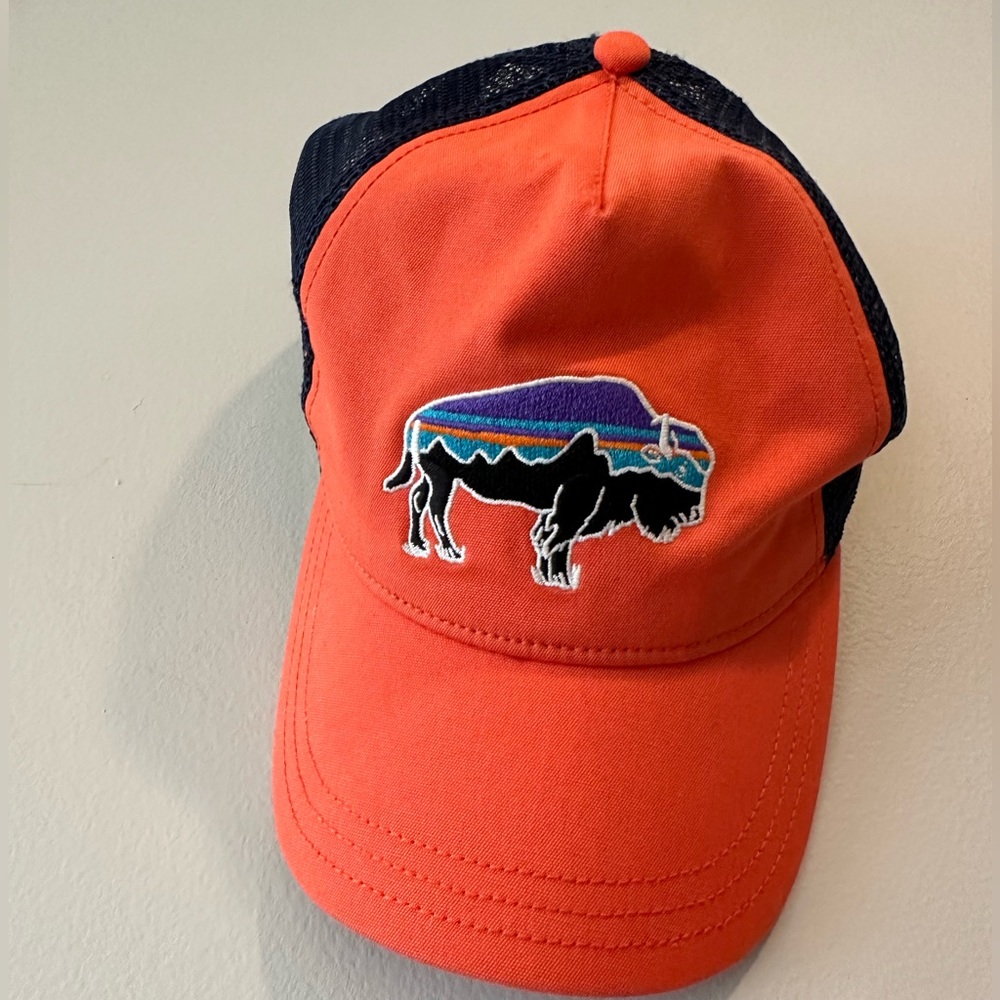 EUC WOMENS PATAGONIA FITZ‎ ROY BISON LAYBACK TRUCKER HAT JACKSON HOLE WY BUFFALO